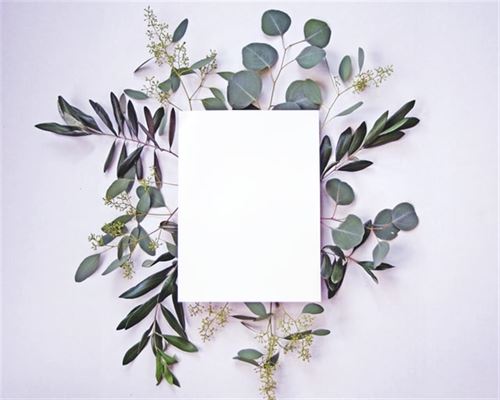 Send invitationer med personlighed