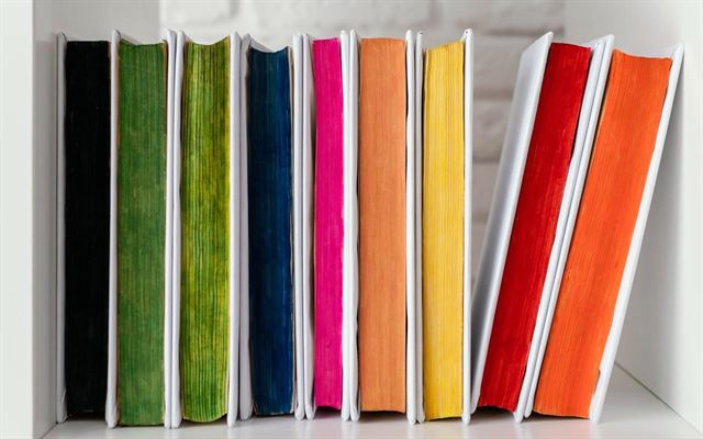 Hanne Vibeke Holst – Et populært valg